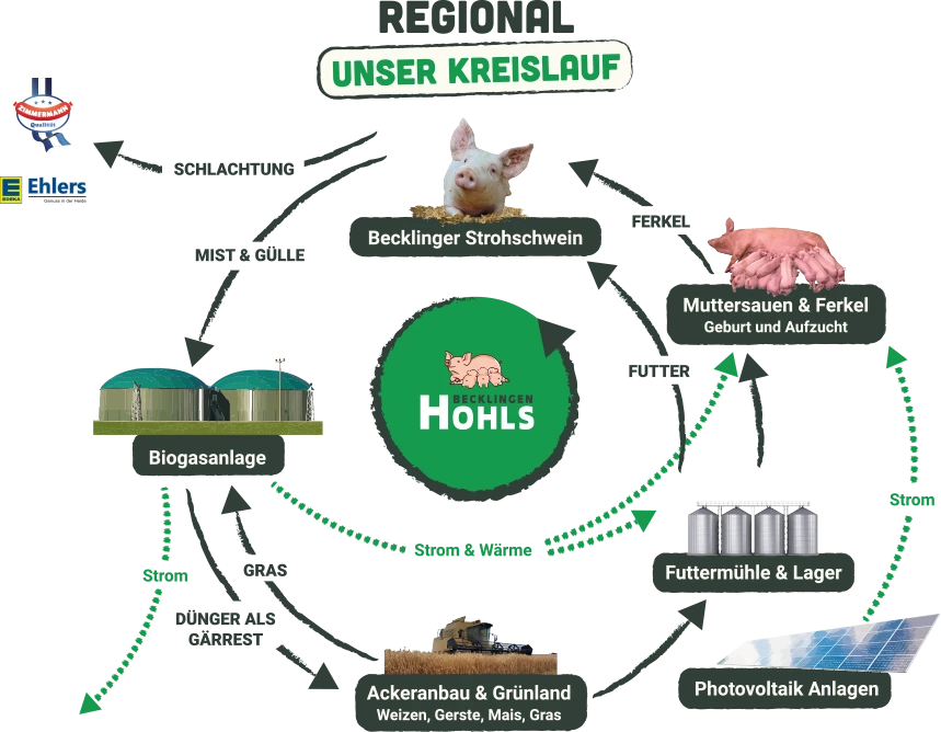 Der regionale Kreislauf von Hohls Becklingen